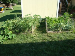 our two new raised beds!!!